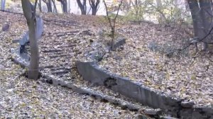 Осень,саксофон