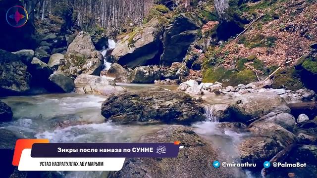 Зикры после намаза согласно сунне | Назратуллах Абу Марьям смотреть онлайн