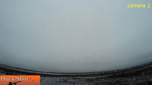 Охота на утку. Налёт за налётом. смотреть онлайн