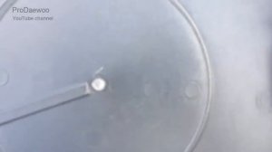 КОЛПАКИ НА ДЭУ НЭКСИЯ как отличить потделку