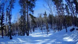 Белокуриха 2. Биатлонная Трасса. Беговые лыжи на "Лыжно биатлонном комплексе"