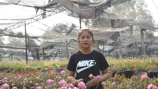 LANNA-VOCATIONAL-COURSES-MIND 00 03 JAM смотреть онлайн