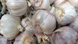 Невероятно на что способен чеснок! Осторожно! / What is garlic capable of