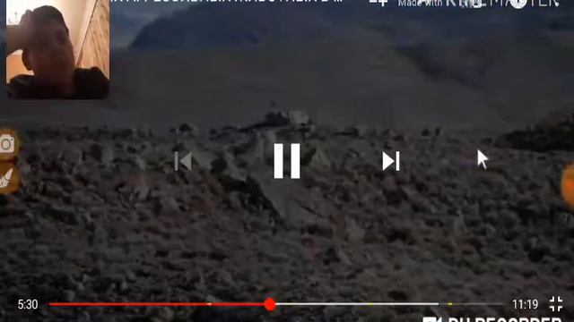 10 самых агрессивных животных в мире !!! смотреть онлайн