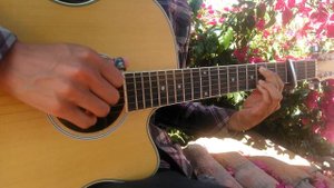 Blue Bird - Naruto Shippuden OP3 - Fingerstyle Guitar Cover - TABS