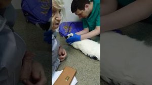 Что бы кот пописал)