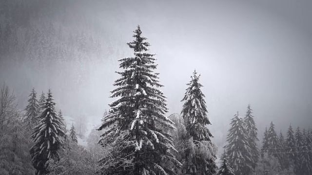 5 Января Народный праздник Федулов День Что нельзя делать Народные приметы традиции и обряды