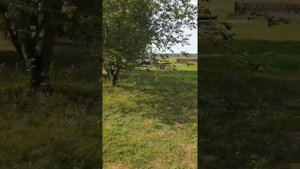 База отдыха "Майор Пронин", Рязанская область