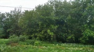 Песня Бременских музыкантов (Ничего на свете лучше нету) поездка на электрогитаре.