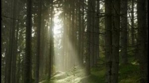 Медитация пробуждение ￼