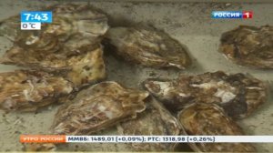Устрицы попали в список самых опасных продуктов