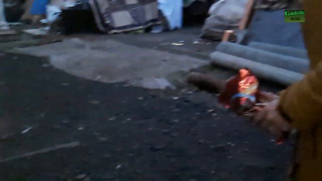 Московский Дагестанец помогает бездомным животным. Доброта нужна Всем!