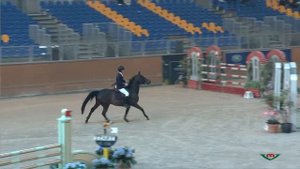 SANDO DE GP Pony H 130 Sunday 004