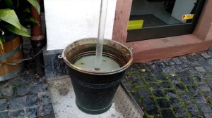 Mainz.Прогулка в Майнце. Нива в Германии!