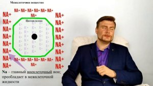 Минеральные соли. Функции минеральных веществ в организме. ЕГЭ биология.