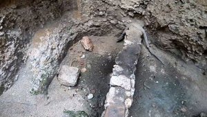 Херсонес Таврический. Прогулка по севастопольскому Херсонесу в январе. Погода в Севастополе зимой