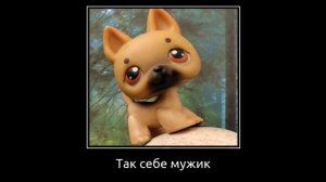 (Мем) В главных ролях: