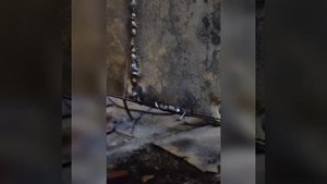 первые пробы бытовой полуавтомат "texa" t86250 mig/mma-250. с углекислотой