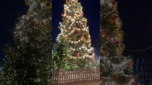 Новогодняя елка в Кронштадте: незабываемая атмосфера праздника.