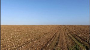 За того Парня. Роберт Рождественский