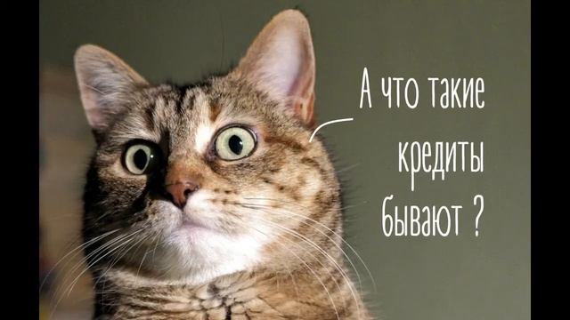 Зачем те, у того много денег влезают в кредиты? смотреть онлайн