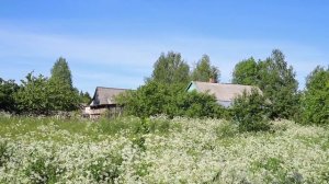 Звуки Деревни. Погрузитесь в атмосферу деревенского безмятежного лета.mp4
