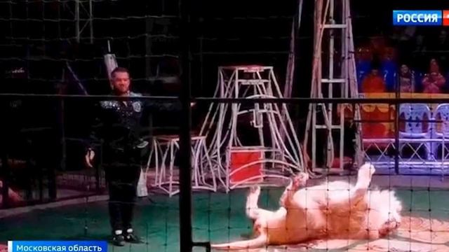 В Индонезии закрыли самый жестокий цирк в мире смотреть онлайн