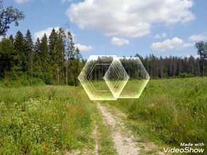 Прогулка через лес рядом с Лобней
