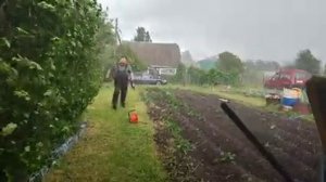 Забор на даче/Травма или нет?/Погода в Сибири#влог#сибирь#дача#огород#садоводство#забор