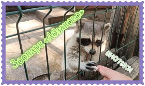Зоопарк Абзаково Башкирия