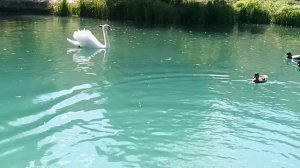 Святой источник Криница Белгород 21.08.2024