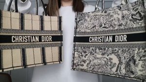 DIOR BOOK TOTE COMPARISON: SMALL VS. ORIGINAL | ALYSSA LENORE