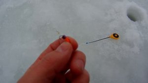 Зимняя рыбалка на Дону  | село под Воронежем  | 9 января 2022