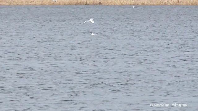 Б-Черниговский район зарисовки природы.