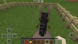 Как приручить и размножать осла в Майнкрафте?