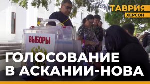 Досрочные выборы депутатов в областную Думу Херсонской области прошли в Аскании-Нова