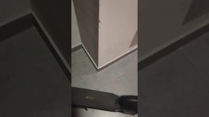 Ninebot f2 pro