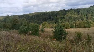 Село Кабаново, Галичский район, Костромская обл.