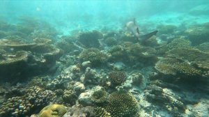 Ellaidhoo Maldives by Cinnamon - September 2021