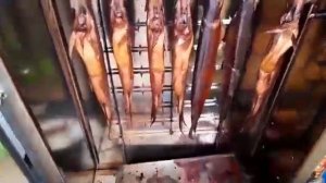 !Коптильня Москит вся правда!!! В квартире же...