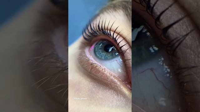 #ламинирование #ламинированиересниц #ламиресниц #ресницы #брови смотреть онлайн