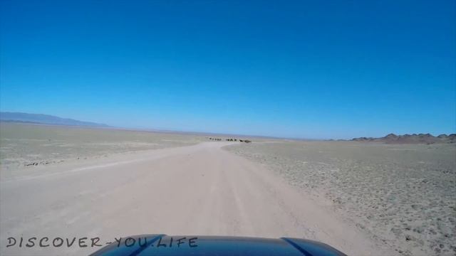 Природа Казахстана \ Road Trip to Kazakhstan \ Джип-Туры \ Эко туры в Казахстан смотреть онлайн
