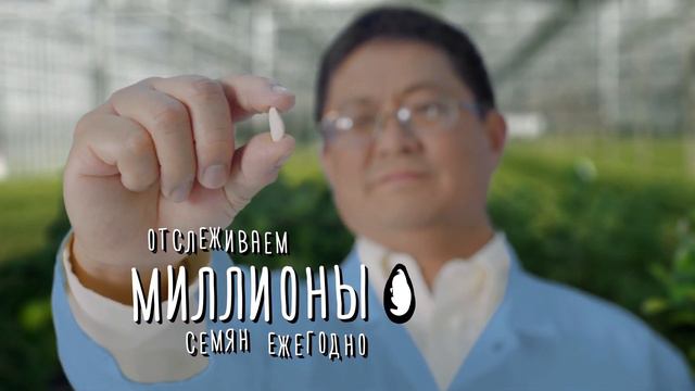 9 шагов «Прослеживаемости Nutrilite». Шаг 2 – отбор семян смотреть онлайн