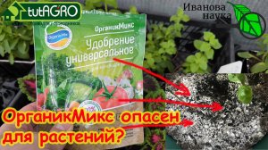 Из-за Органик Микс сплошная плесень и болезни? Organic Mix убивает растения и урожай?