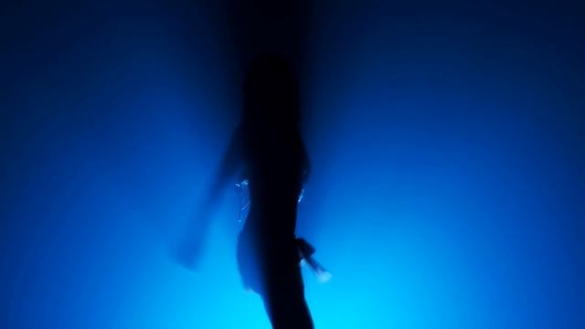 Жили у Бабуси Два Весёлых Гуся - Gerbert Noose - Русский Тяжёлый Авангард смотреть онлайн