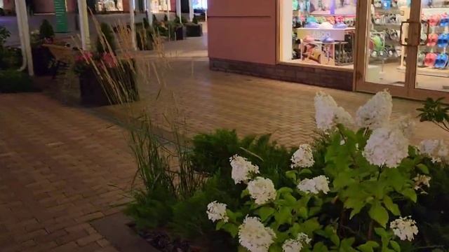 СУВЕНИРЫ ИЗ КОСТЕЙ ? НОЧНАЯ ПРОГУЛКА ?ЁЖИК ?SOUVENIRS FROM BONES ? смотреть онлайн