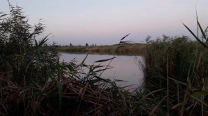 Выскочил на болото с 28 калибром, добыл 2 чирка. Рекомендации по снаряжению патронов......