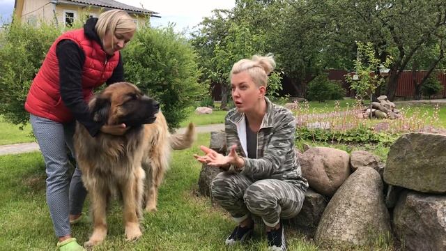 Анекдот про аватар Дневник для своих ч.18