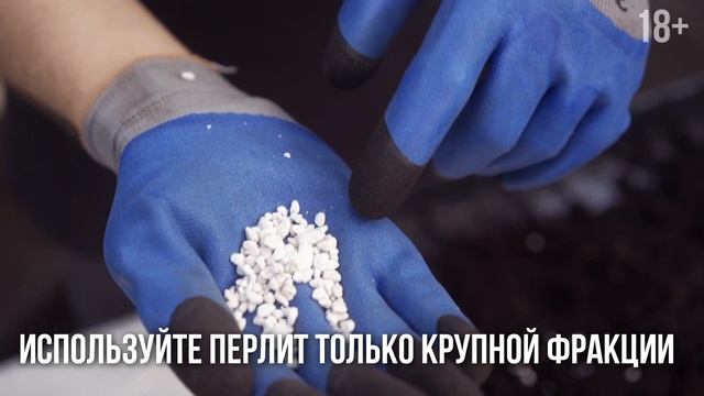 Выращивание томатов - от А до Я / Как вырастить помидоры / Рассада помидор/ Органик Микс