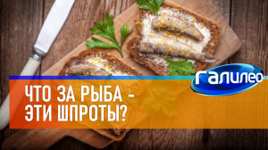 Галилео | 0061 ? Что за рыба - эти шпроты?